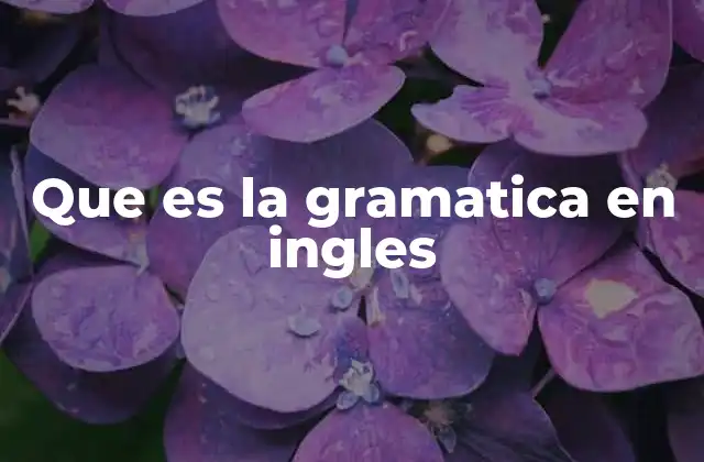 Que es la Gramatica en Ingles