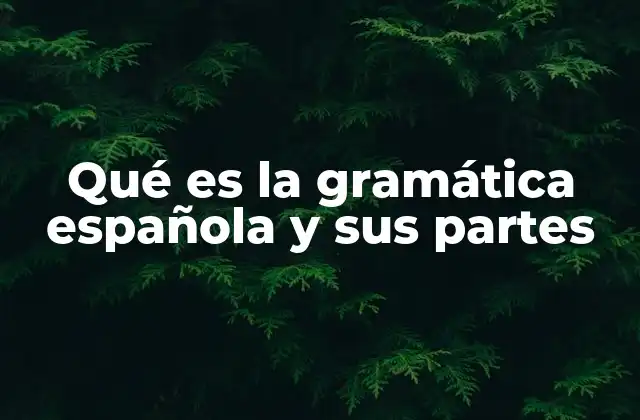 Qué es la Gramática Española y Sus Partes