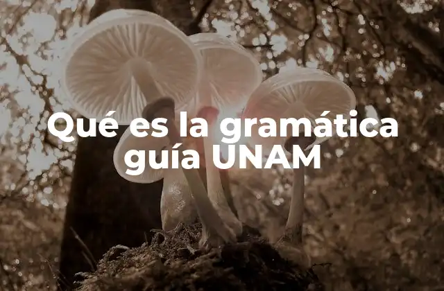Qué es la Gramática Guía Unam