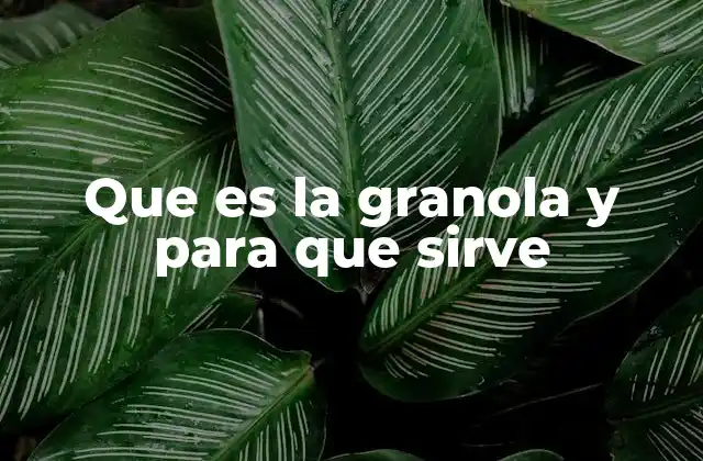 Que es la Granola y para que Sirve