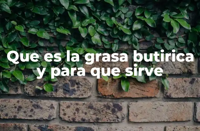 Que es la Grasa Butirica y para que Sirve