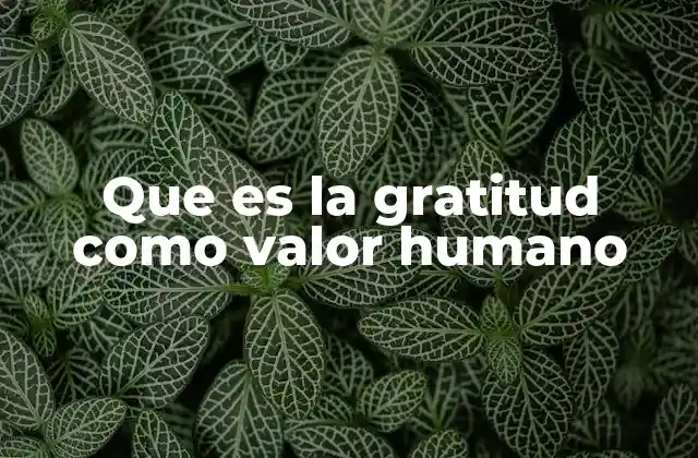 Que es la Gratitud como Valor Humano