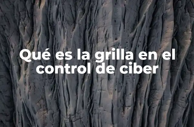 Qué es la Grilla en el Control de Ciber
