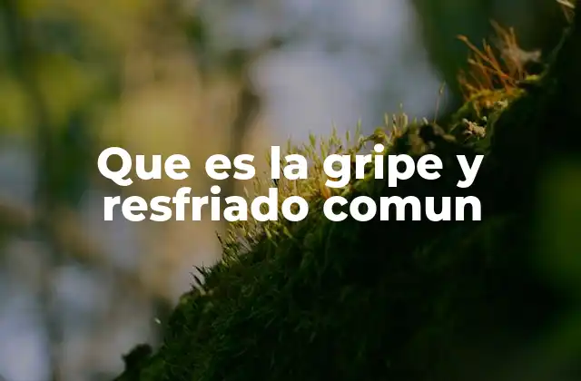 Que es la Gripe y Resfriado Comun