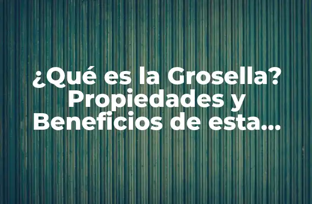 ¿qué es la Grosella? Propiedades y Beneficios de Esta Fruta Exótica