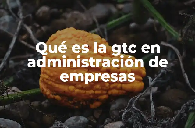 La evolución de la calidad en la gestión empresarial