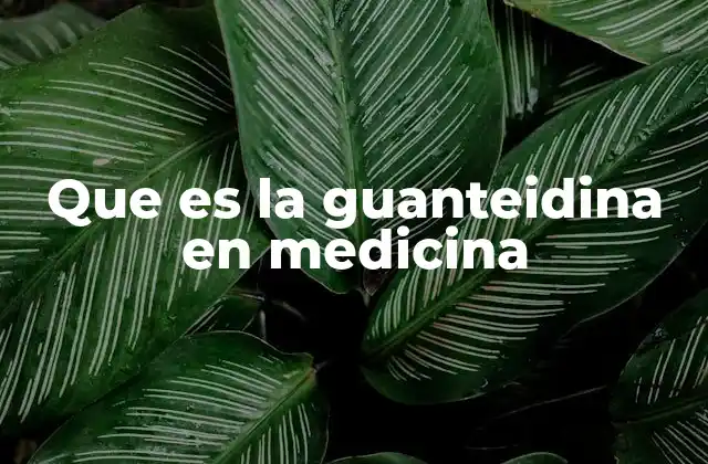 Que es la Guanteidina en Medicina