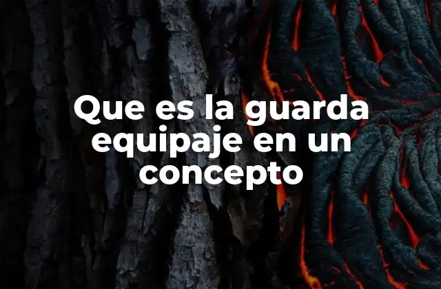 Que es la Guarda Equipaje en un Concepto