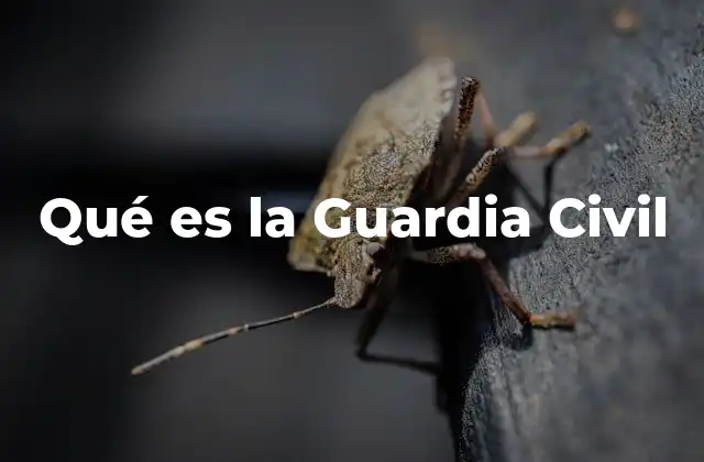 Qué es la Guardia Civil