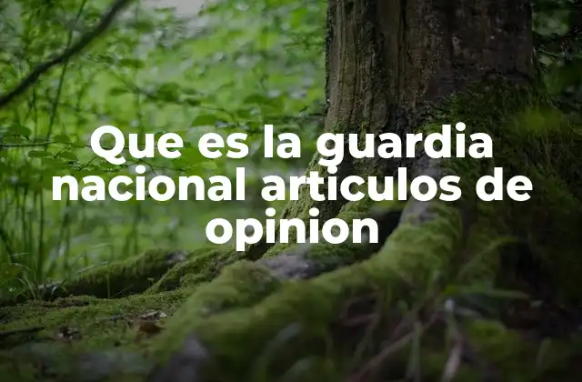 Que es la Guardia Nacional Articulos de Opinion