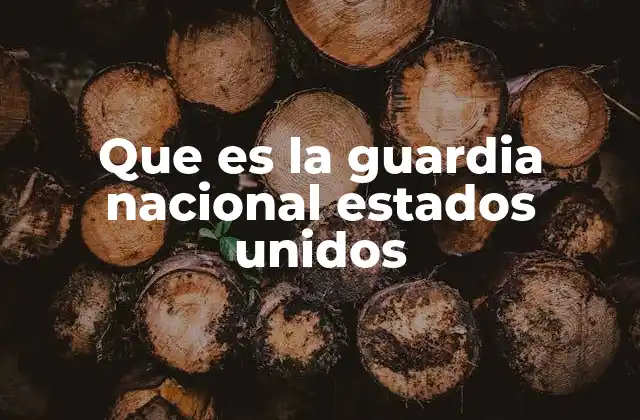 Que es la Guardia Nacional Estados Unidos