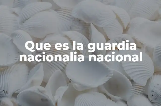 La importancia de las fuerzas de respuesta civil