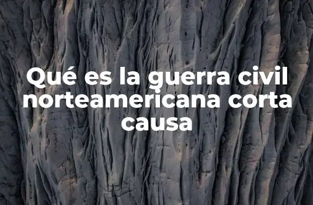 Qué es la Guerra Civil Norteamericana Corta Causa