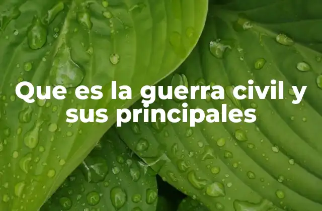 Que es la Guerra Civil y Sus Principales