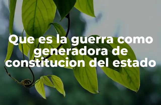 Que es la Guerra como Generadora de Constitucion Del Estado