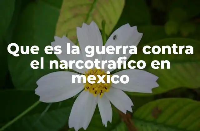 Que es la Guerra contra el Narcotrafico en Mexico