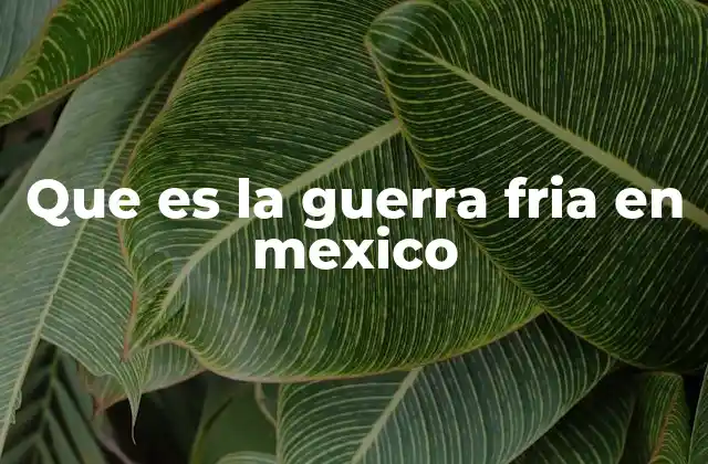 Que es la Guerra Fria en Mexico