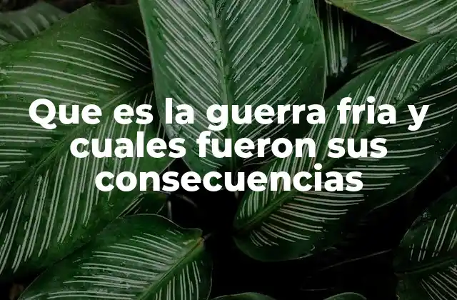 El impacto de la rivalidad ideológica en el mundo moderno