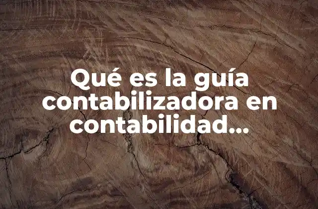 Qué es la Guía Contabilizadora en Contabilidad Gubernamental