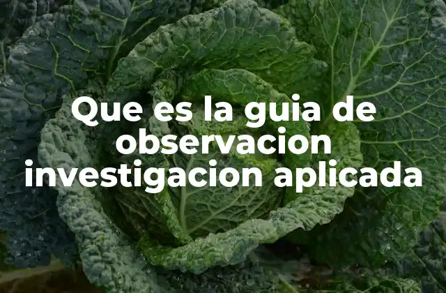 Que es la Guia de Observacion Investigacion Aplicada