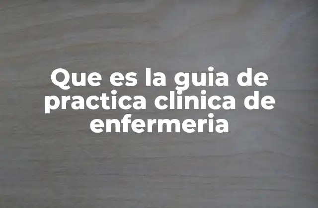 Que es la Guia de Practica Clinica de Enfermeria 2 El papel de las guías en la toma de decisiones clínicas