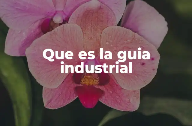 Que es la Guia Industrial 10 El papel de las guías industriales en el desarrollo económico