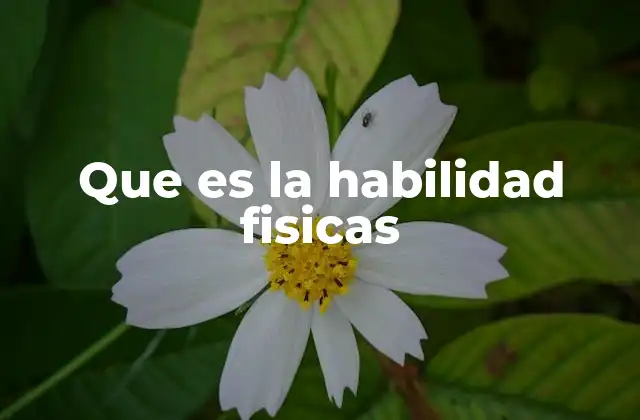 Que es la Habilidad Fisicas
