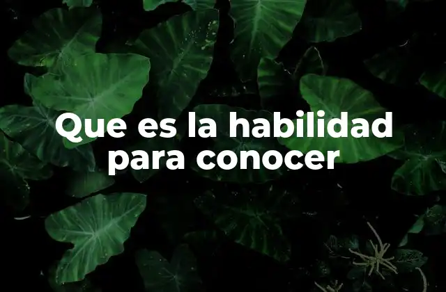 Que es la Habilidad para Conocer