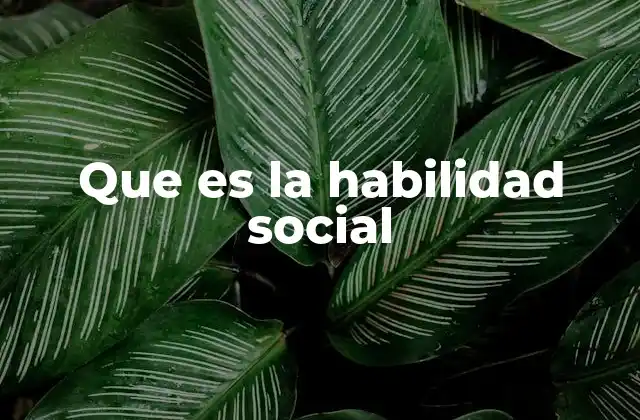 Que es la Habilidad Social