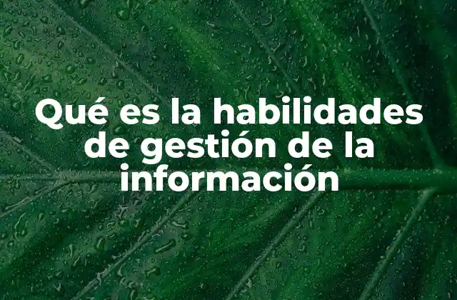 Qué es la Habilidades de Gestión de la Información
