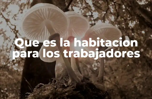 Que es la Habitacion para los Trabajadores