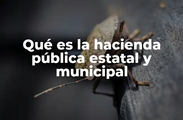 Qué es la Hacienda Pública Estatal y Municipal