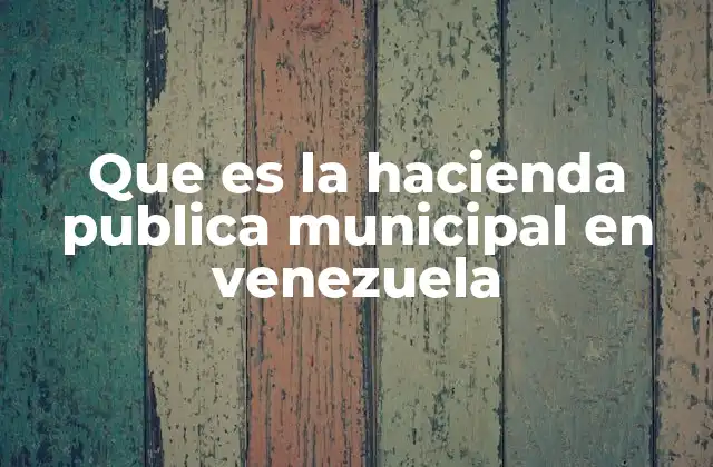 La gestión financiera local en Venezuela