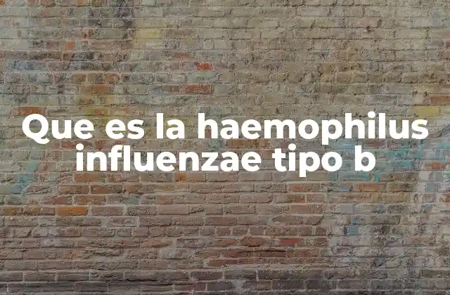 Que es la Haemophilus Influenzae Tipo B 2 La importancia de prevenir infecciones por Hib