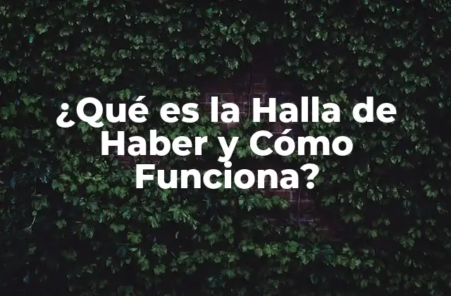 ¿qué es la Halla de Haber y Cómo Funciona? 2 Definición y Conceptos Básicos