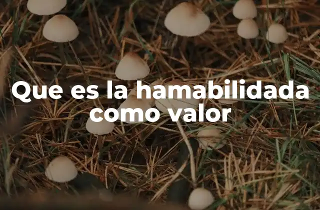 Que es la Hamabilidada como Valor