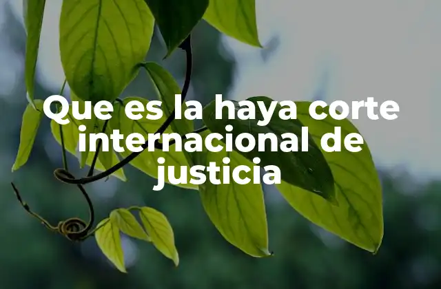Que es la Haya Corte Internacional de Justicia