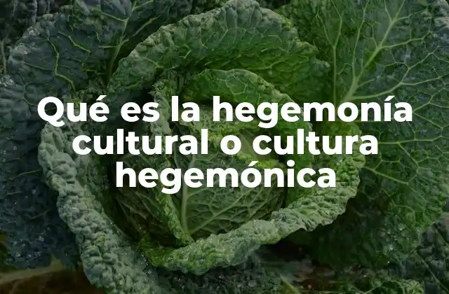 Qué es la Hegemonía Cultural o Cultura Hegemónica