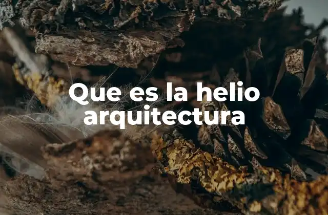 Que es la Helio Arquitectura