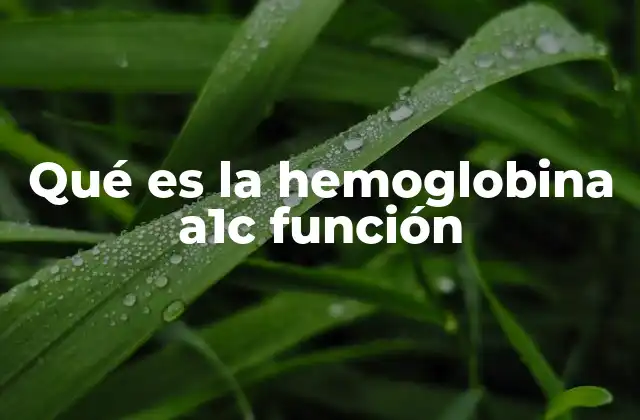 El papel de la hemoglobina A1c en la medicina preventiva