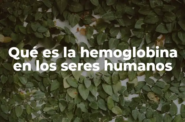 Qué es la Hemoglobina en los Seres Humanos
