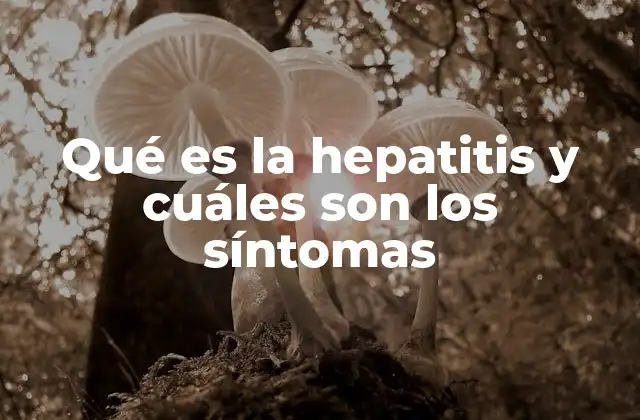 Qué es la Hepatitis y Cuáles Son los Síntomas 2 La importancia de reconocer los síntomas de la hepatitis
