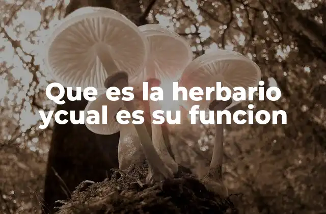 La importancia de los herbarios en la ciencia moderna