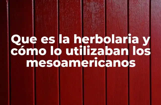 La herbolaria como parte de la cultura y la cosmovisión mesoamericana