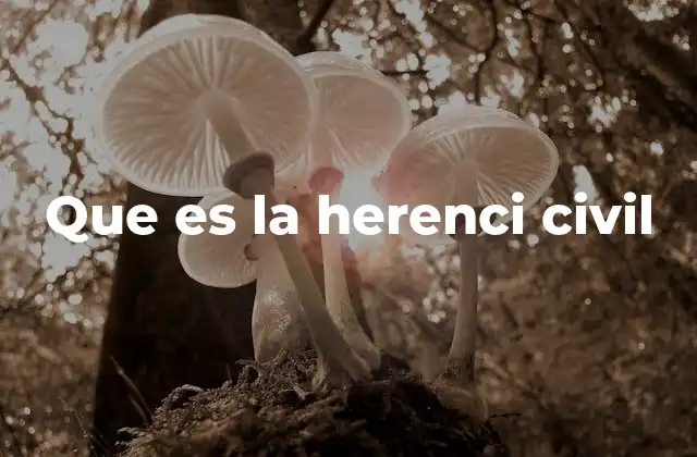 Que es la Herenci Civil