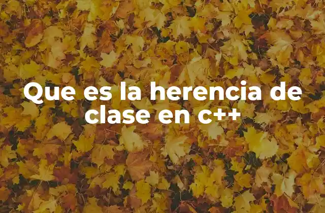 Que es la Herencia de Clase en C++