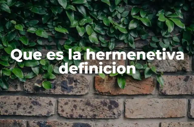 Que es la Hermenetiva Definicion