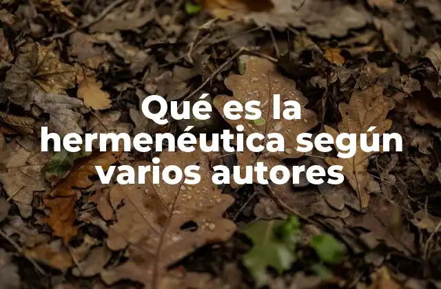 Qué es la Hermenéutica según Varios Autores