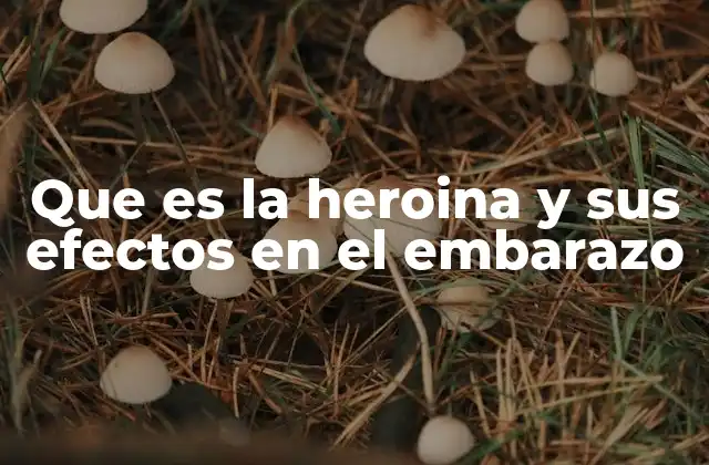 Que es la Heroina y Sus Efectos en el Embarazo