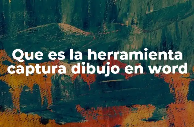 Que es la Herramienta Captura Dibujo en Word